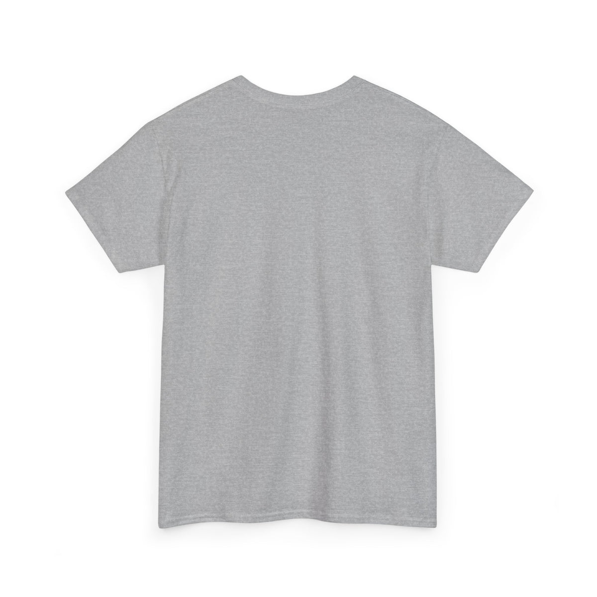 I'm Not a Senior Citizen, I'm a Recycled Teenager T-Shirt