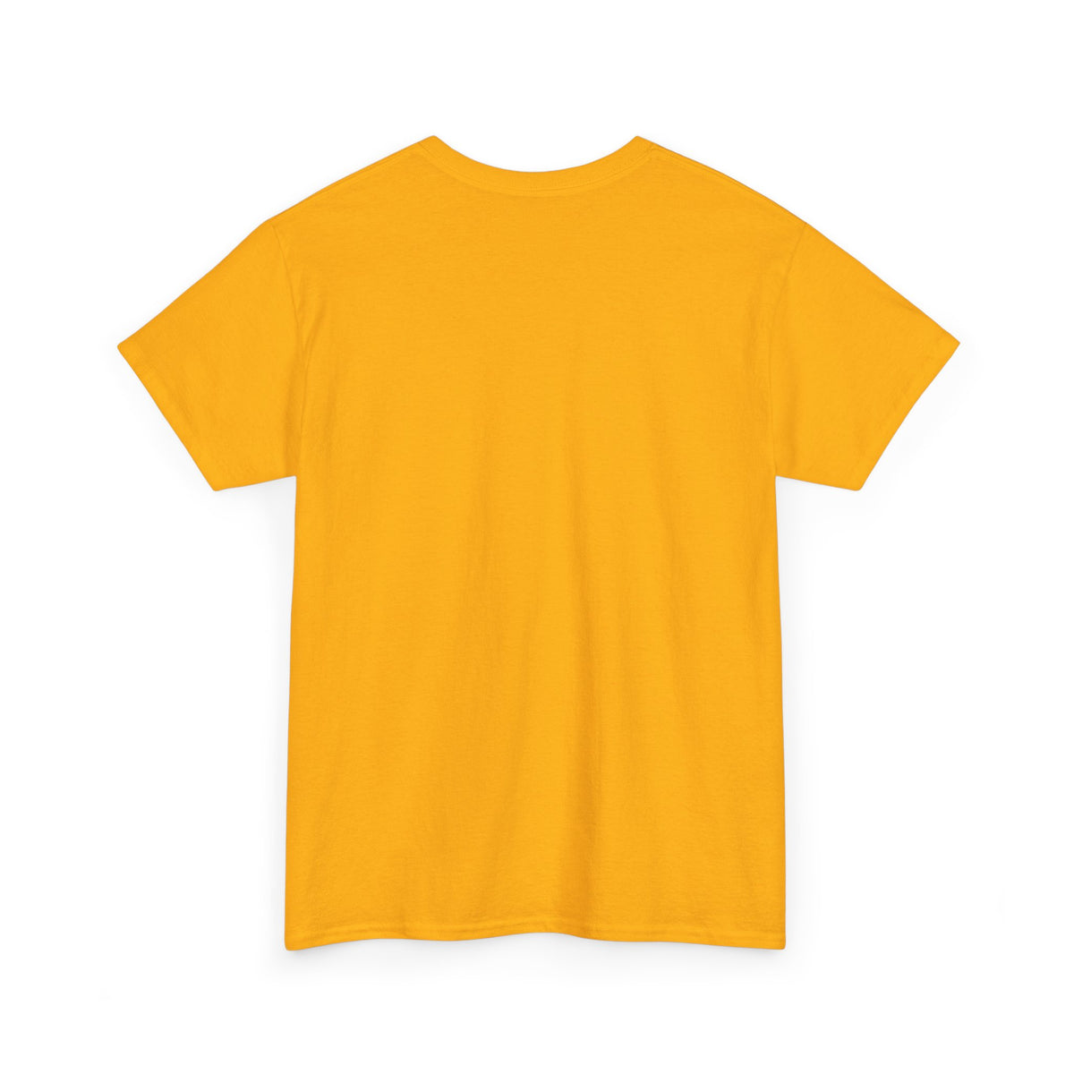 I'm Not a Senior Citizen, I'm a Recycled Teenager T-Shirt