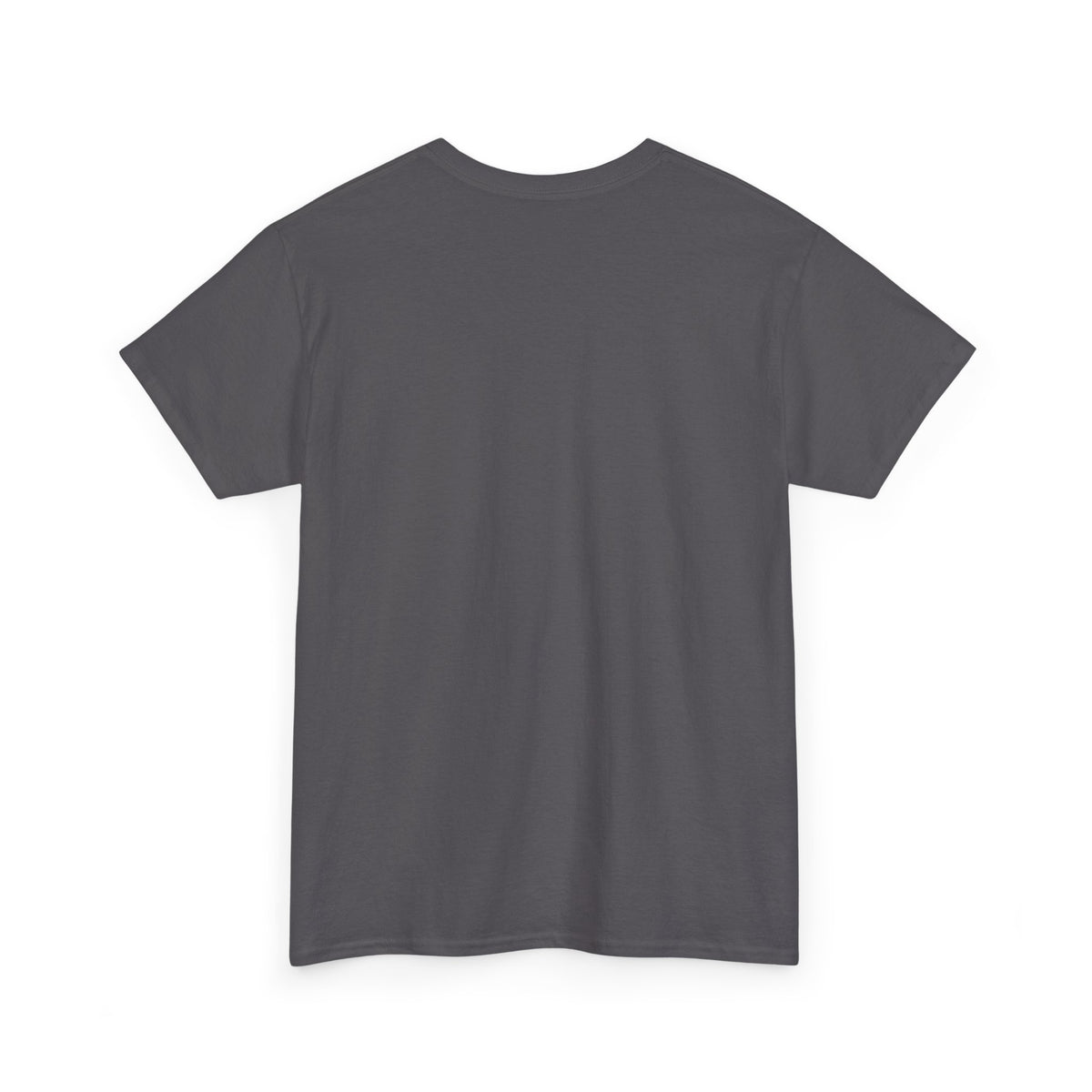 I'm Not a Senior Citizen, I'm a Recycled Teenager T-Shirt