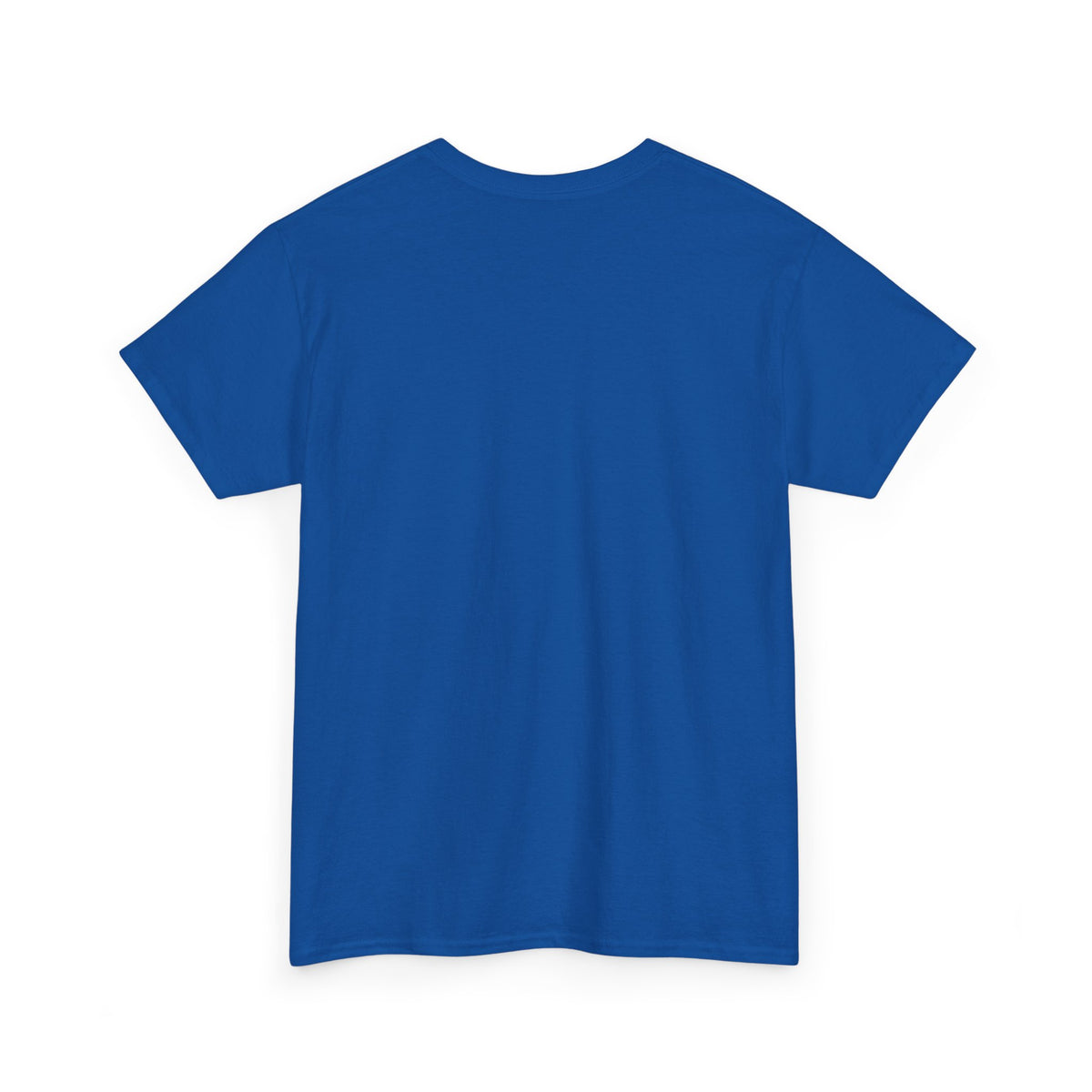 I'm Not a Senior Citizen, I'm a Recycled Teenager T-Shirt