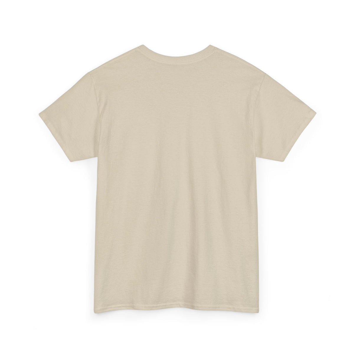 I'm Not a Senior Citizen, I'm a Recycled Teenager T-Shirt