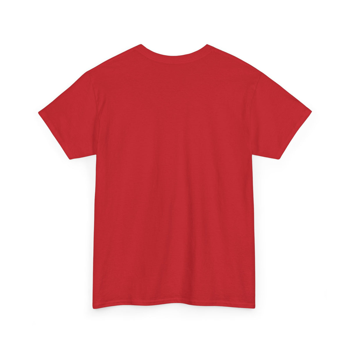 I'm Not a Senior Citizen, I'm a Recycled Teenager T-Shirt