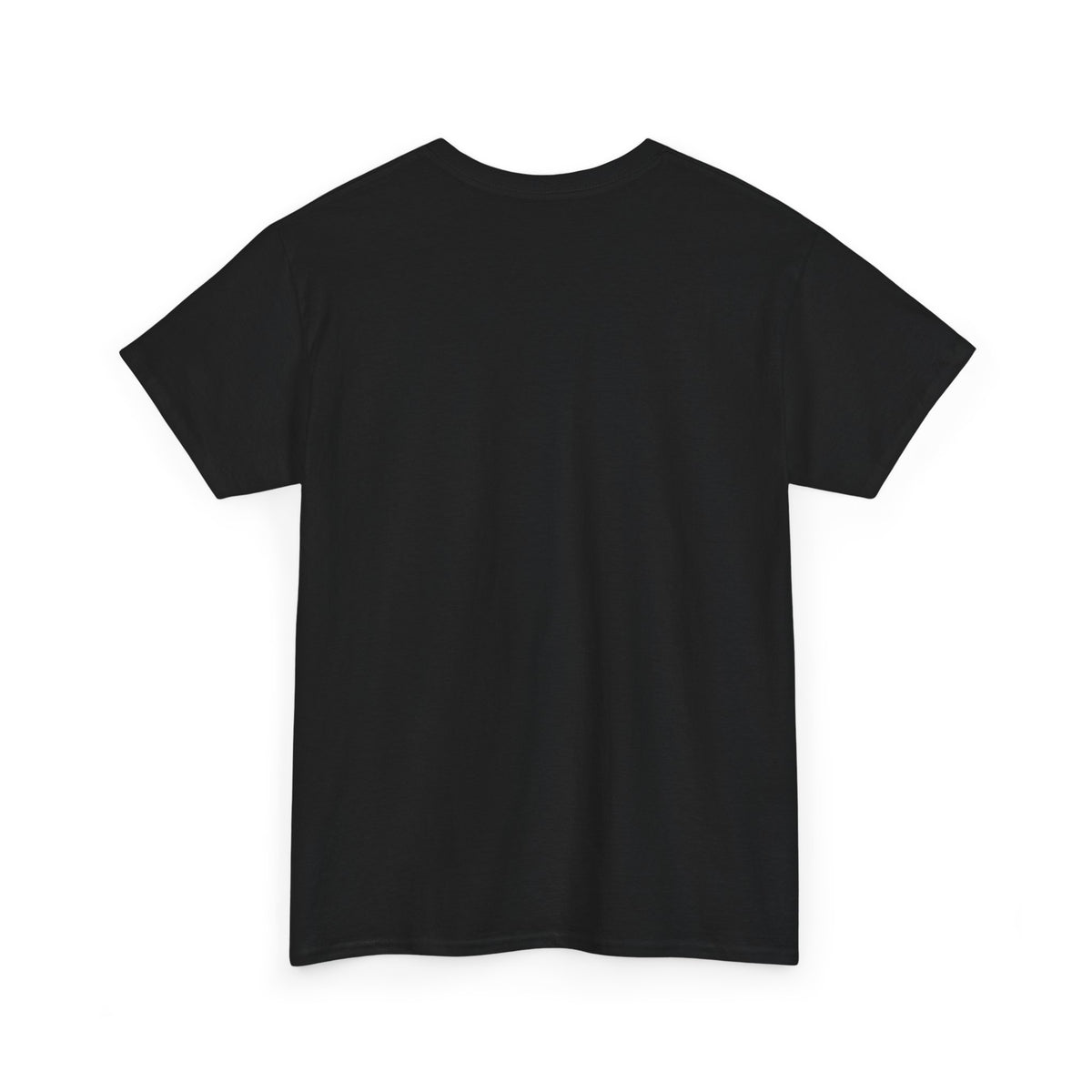 I'm Not a Senior Citizen, I'm a Recycled Teenager T-Shirt