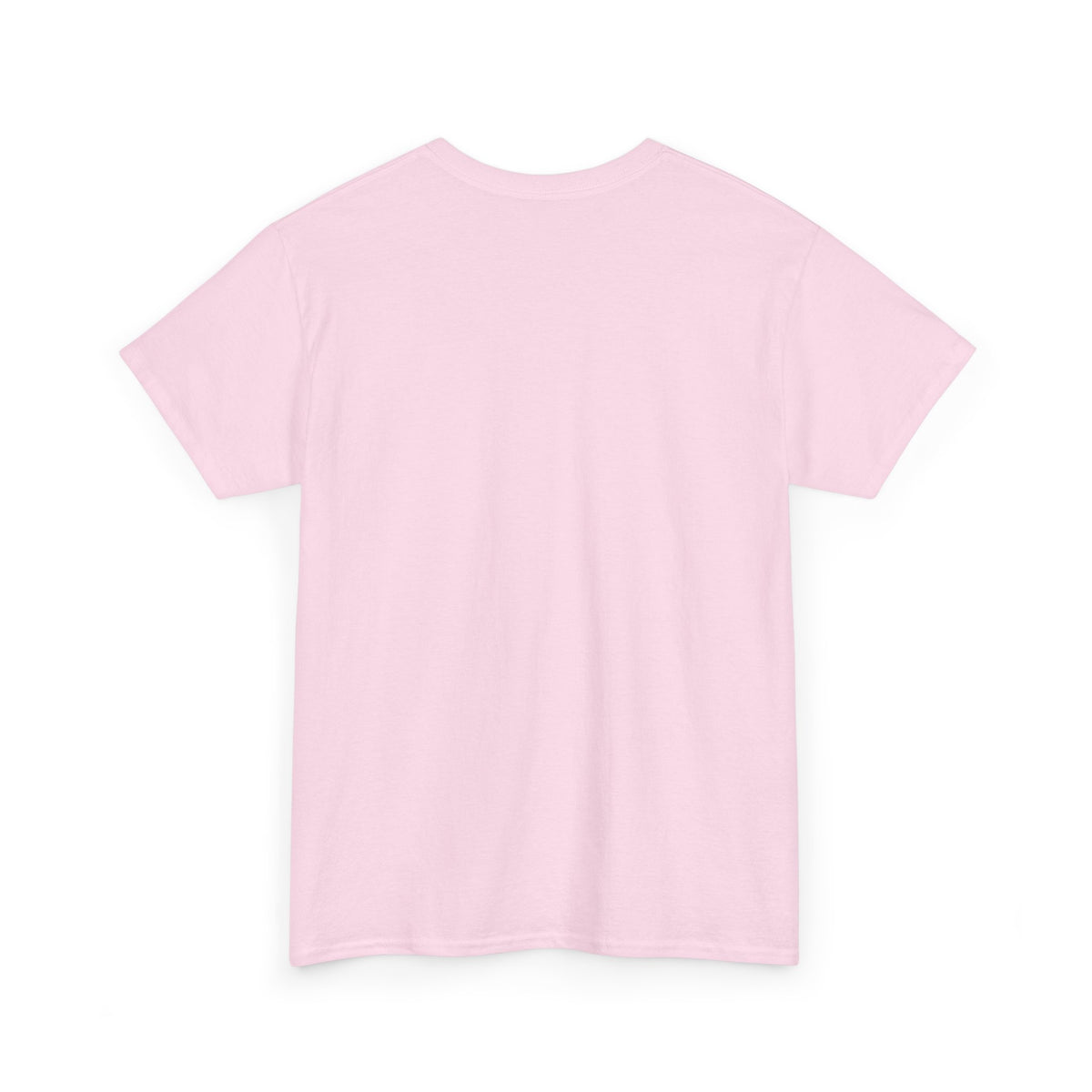 I'm Not a Senior Citizen, I'm a Recycled Teenager T-Shirt